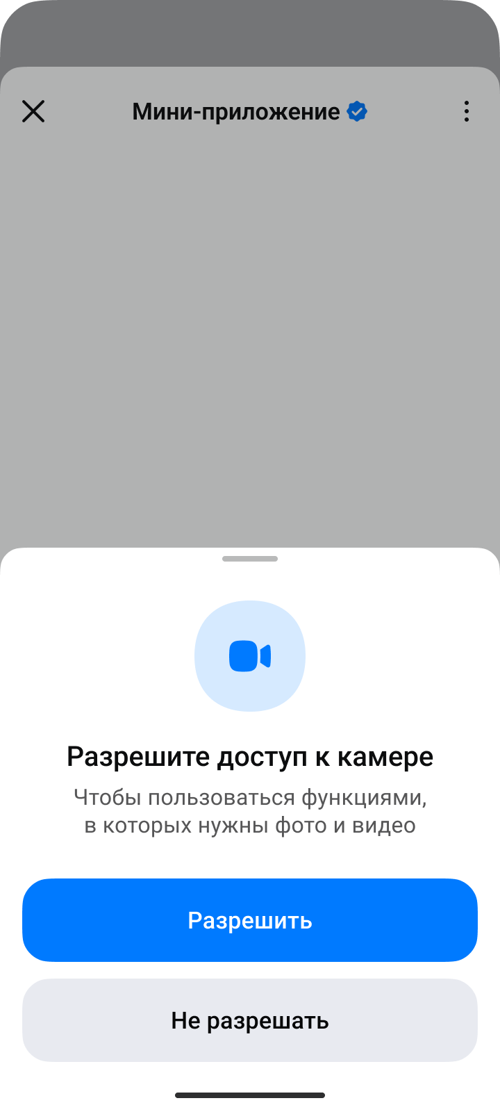 Запрос на доступ мини-приложения только к камере