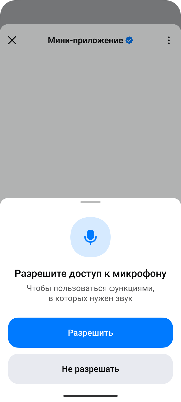 Запрос на доступ мини-приложения только к микрофону